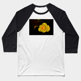 single yellow rose blossom with red center on black background Baseball T-Shirt